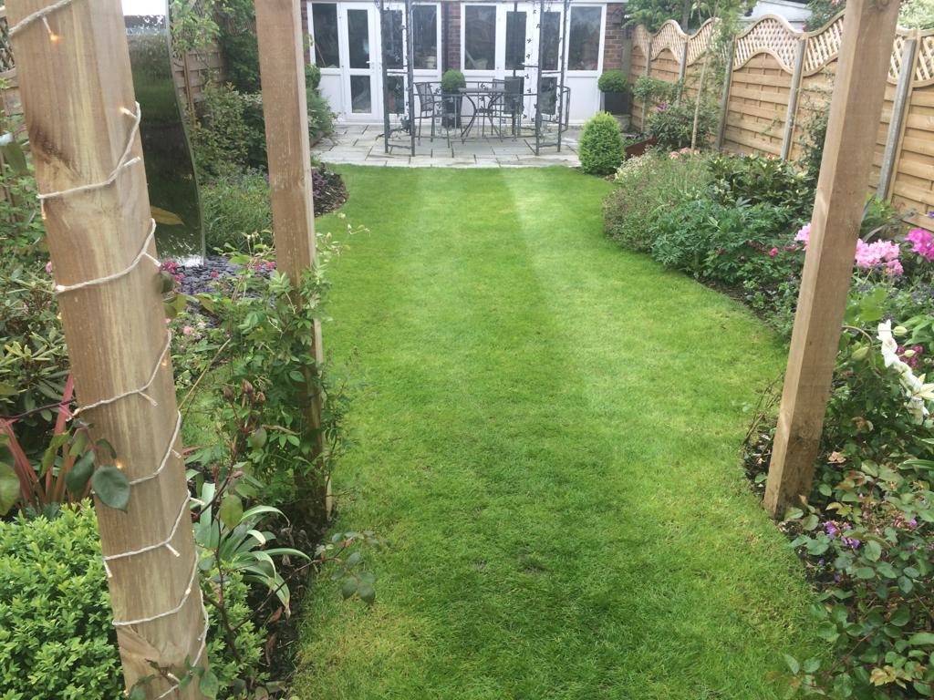 Image 15