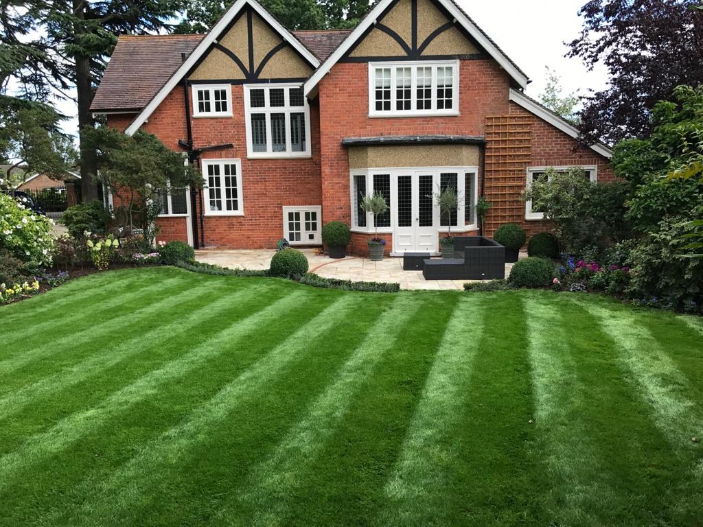 Image 8